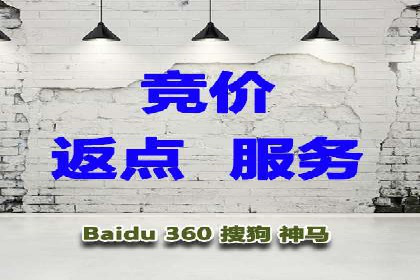 SEM广告投放的创意与执行：成功案例剖析