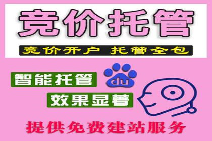 百度推广攻略：实操案例解读SEO优化之道